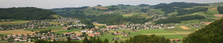 Einwohnergemeinde Wiler Valley