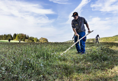 Sensenkurs: Alternative Wiesen- oder Rasenpflege mittels Mähen mit Sense